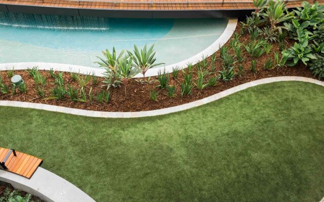 What you need to know about hydrangeas