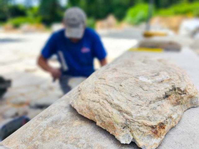 363929254_300730749072692_3021522137991753546_n