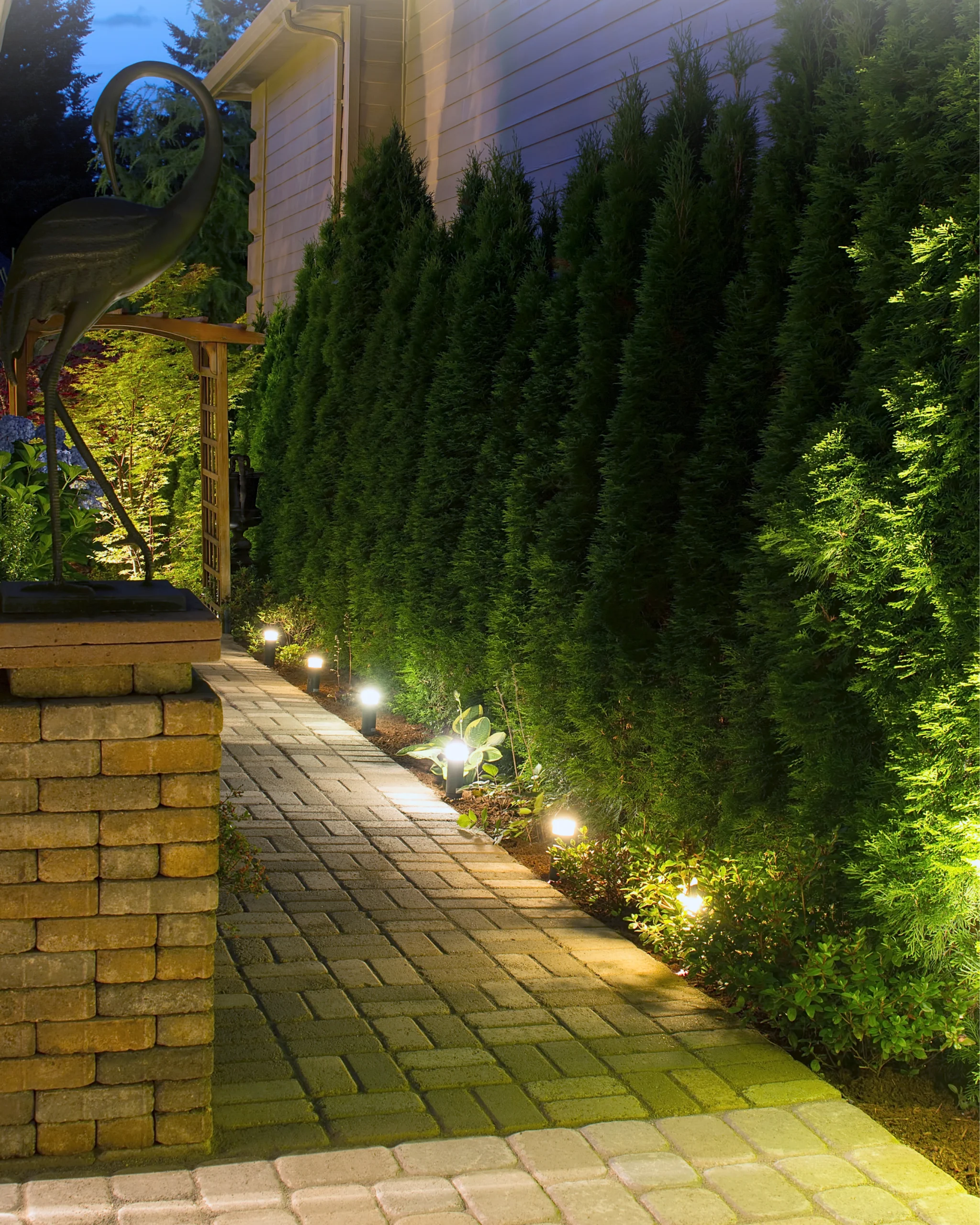 Landscape Lighting